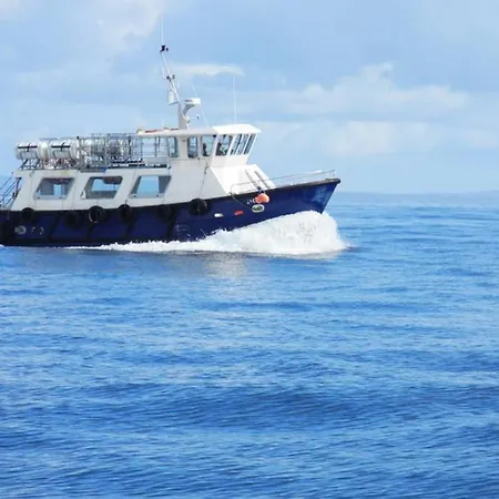 펜션 Red Stonecutters Cottage, Doolin