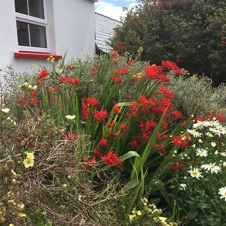 Dom wakacyjny Red Stonecutters Cottage, Doolin