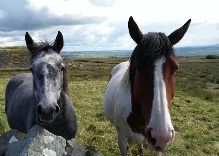 Vakantiehuis Red Stonecutters Cottage, Doolin Carrowauff