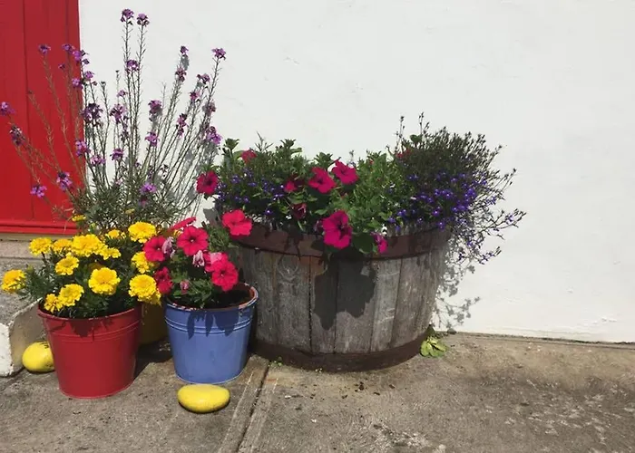 Vakantiehuis Red Stonecutters Cottage, Doolin *