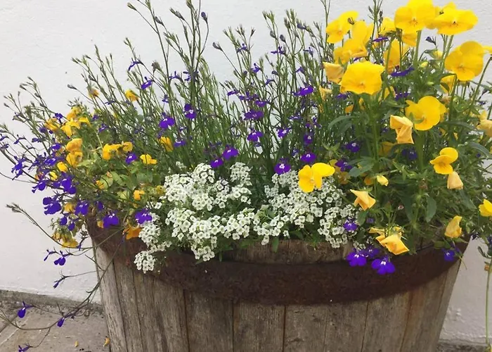 Red Stonecutters Cottage, Doolin * Carrowauff