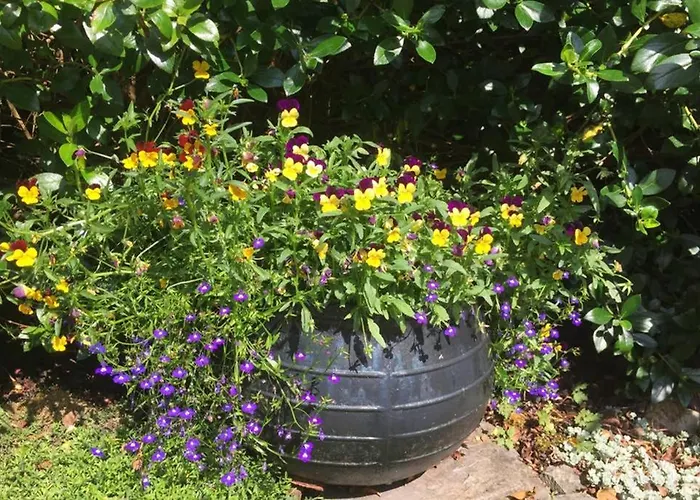 Red Stonecutters Cottage, Doolin *