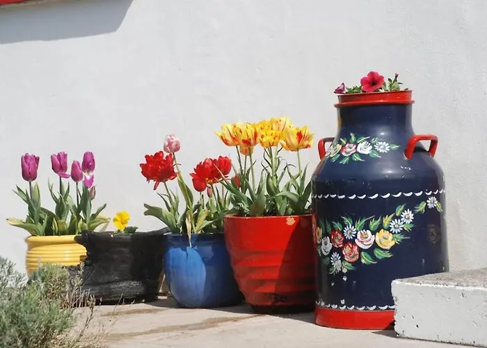 Red Stonecutters Cottage, Doolin * Carrowauff